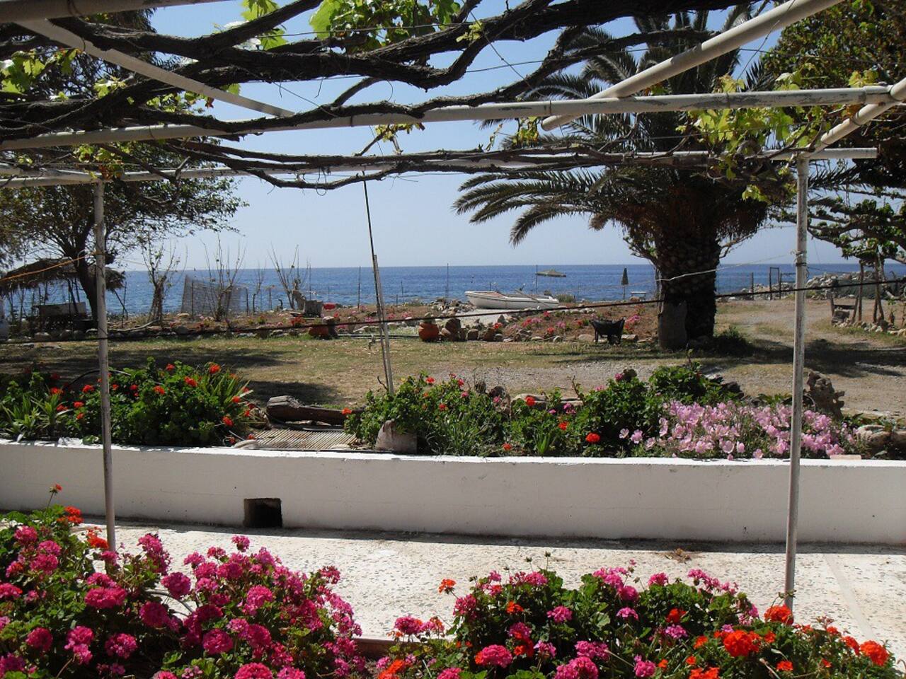 Studio 7 — Sea Facing View